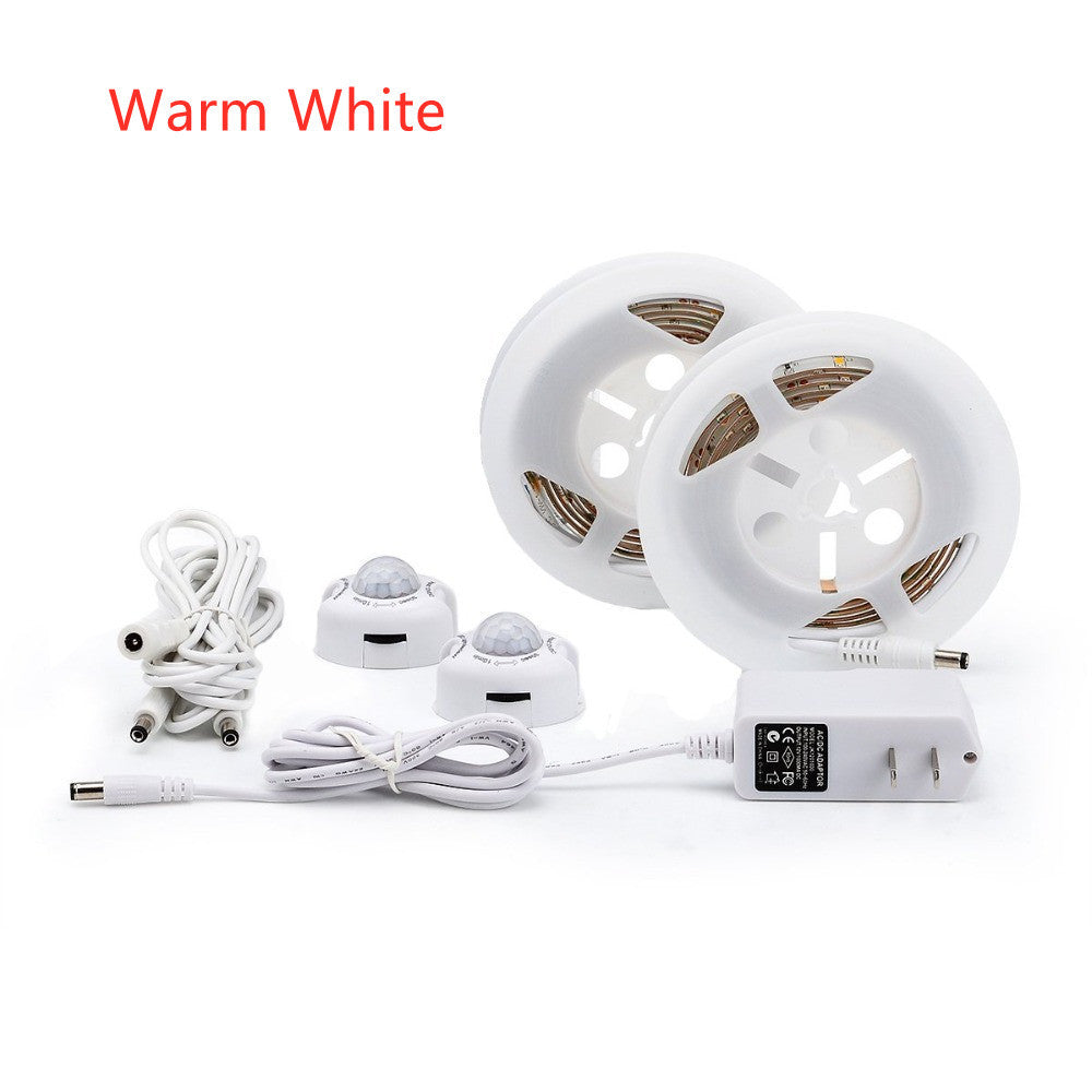 12VLED Light With Human Body Infrared Sensor Light